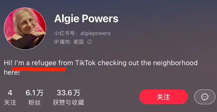 一天涨粉10万，TikTok的音乐难民找到家了