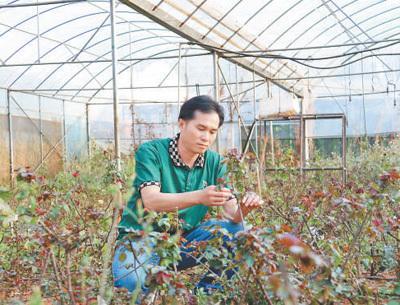 看，田间地头的“科技范儿”