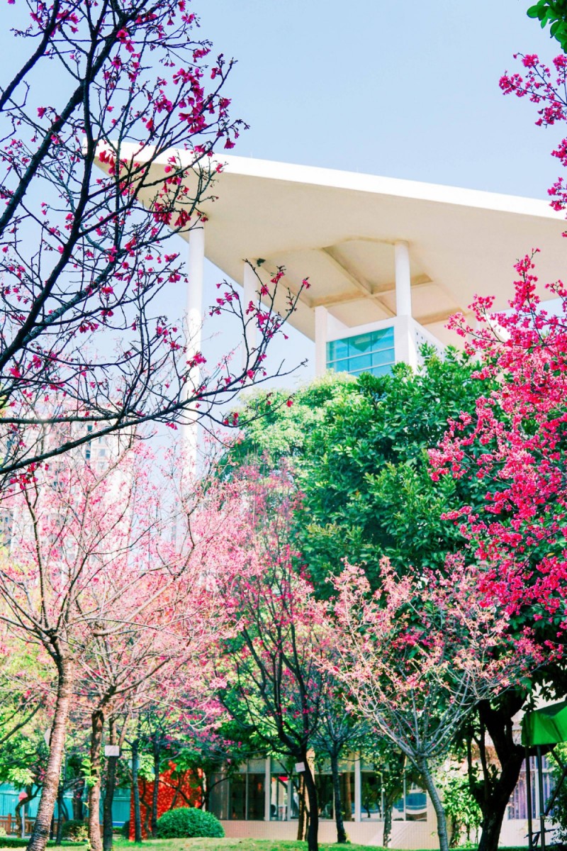 Poster｜Pick most beautiful campus in Guangzhou!